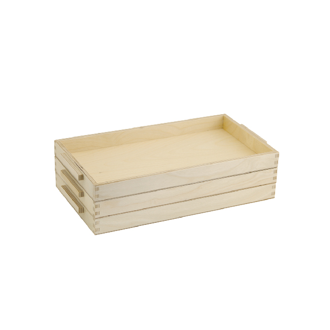 3 Individual Trays