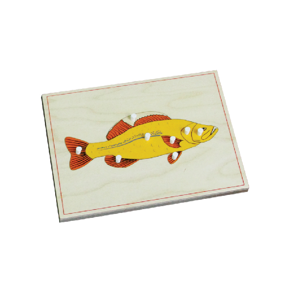 Fish Puzzle with knobs