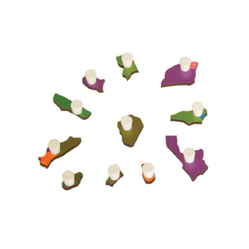 Puzzle Map of Asia - any 1 small puzzle part